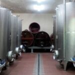 5_valle del sole_lovebiowines
